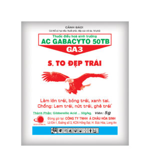 SIÊU TO ĐẸP TRÁI ĐẠI BÀNG - (AC GABACYTO 50TB) 5G