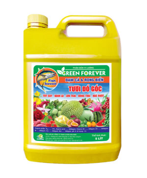 TƯỚI GỐC: GREEN FOREVER (ĐẠM CÁ & RONG BIỂN TỔNG HỢP 5 LÍT)