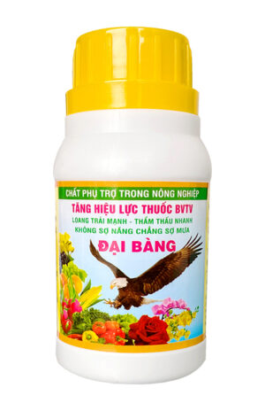 CHẤT LOANG TRÃI - THẨM THẤU (ĐẠI BÀNG 100ML)