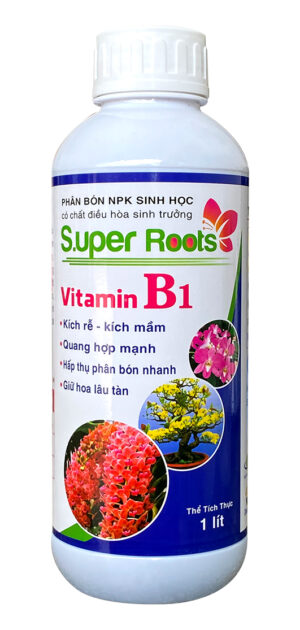 SUPER ROOTS - VITAMIN B1 - 1 LÍT