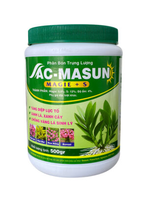 AC-MASUN (TĂNG DIỆP LỤC TỐ - XANH LÁ 500G)