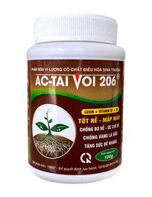 TỐT RỄ - MẬP MẦM (AC-TAI VOI 206) 100G