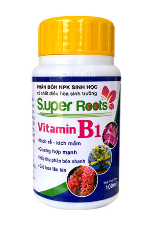 SUPER ROOTS – VITAMIN B1 – 100ML