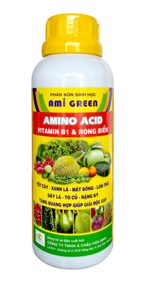 AMI GREEN (AMINO ACID + VITAMIN B1 + RONG BIỂN 500ml)