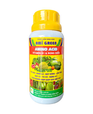 AMI GREEN (AMINO ACID + VITAMIN B1 + RONG BIỂN 250ml)