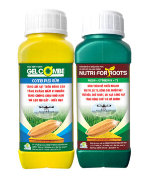 BỘ KÍCH ĐẺ NHÁNH - TĂNG KHÁNG NẤM KHUẨN (SIÊU KẼM + AUXIN + CYTOKININ) 300ML