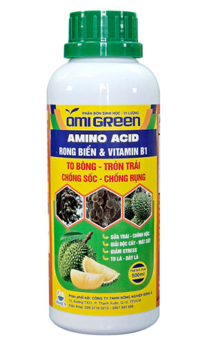 AMINO ACID + RONG BIỂN + VITAMIN B1 - AMI GREEN 500ML (SẦU RIÊNG)