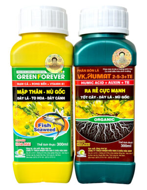CẶP DƯỠNG HOA MAI - GREEN FOREVER + VK.HUMAT 2-5-3+TE (CẶP 300ML)