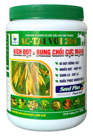 KÍCH ĐỌT - BUNG CHỒI [SẦU RIÊNG] - AC - TAI VOI 206 500G